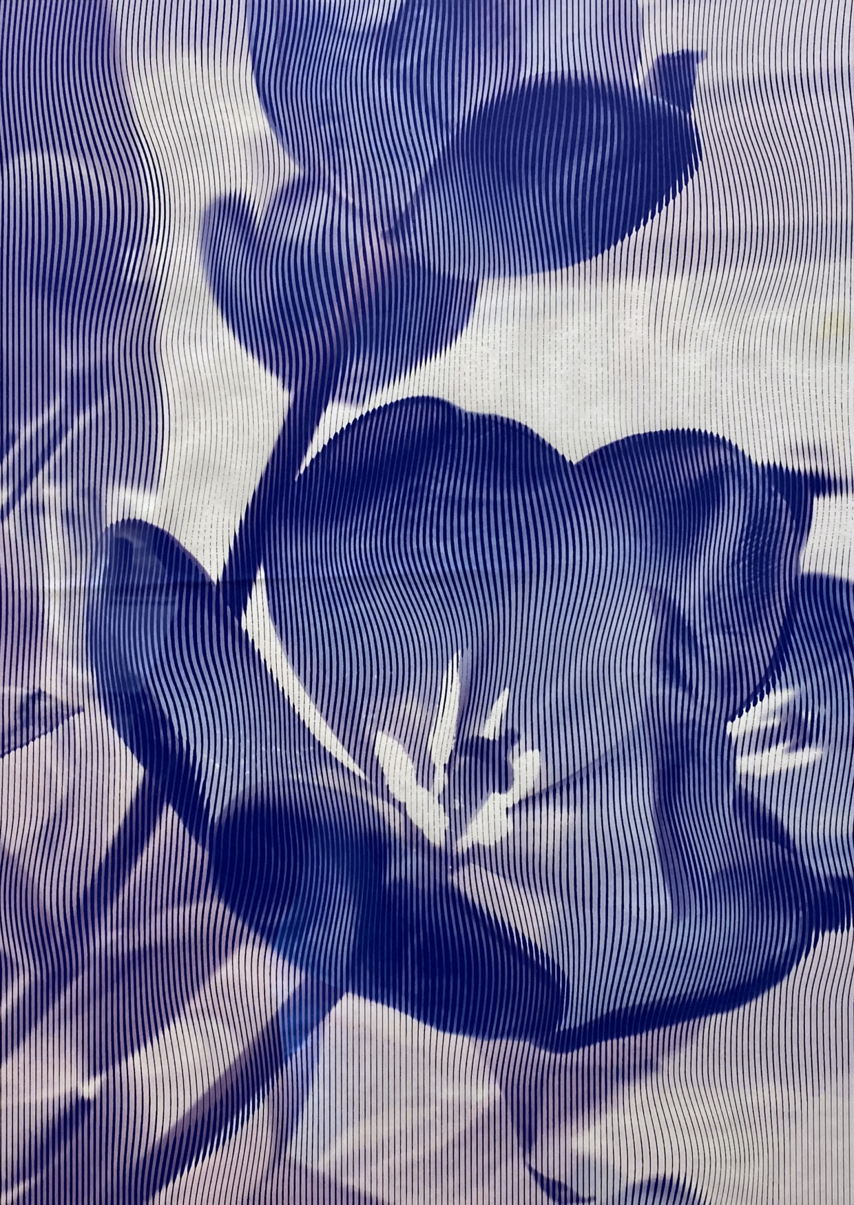 Stefano Arienti. GAMeC. Bergamo