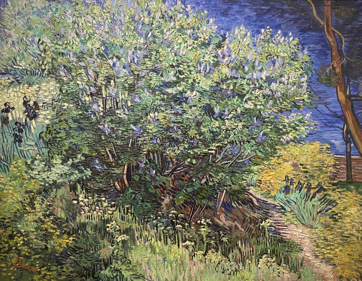 Vincent Van Gogh 1853-1890 Bush May 1889