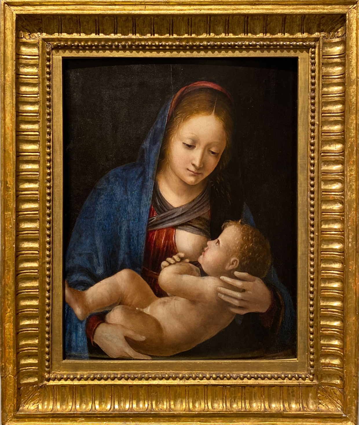 Bernardo Zenale. Nursing Madonna. 1500-1505. Accademia Carrara. Bergamo