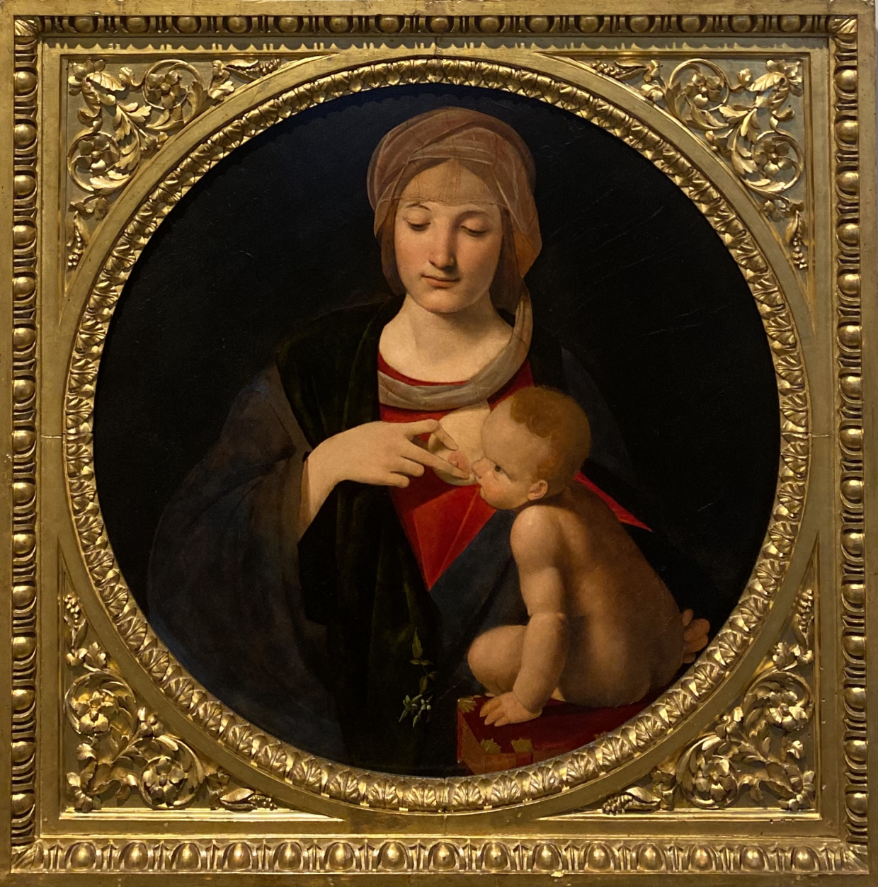 Giovan Antonio Boltraffio.  Nursing Madonna. 1508.  Accademia Carrara. Bergamo