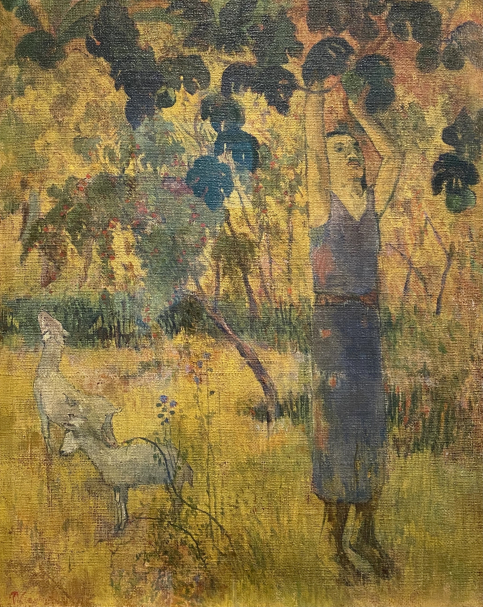 Paul Gauguin. Man Picking Fruit from a tree, 1897. Hermitage SPb. Photo Dan