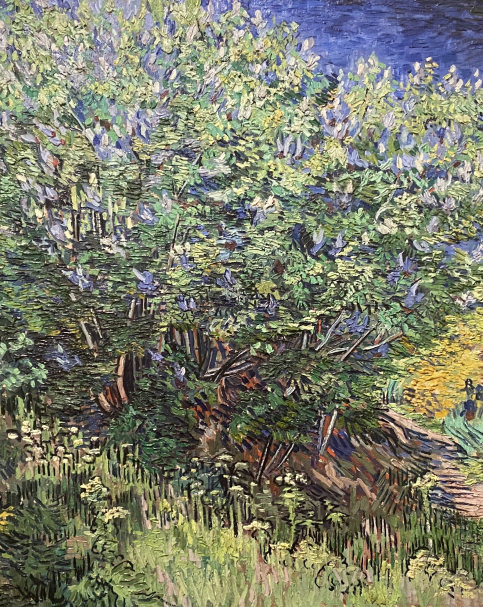 Vincent Van Gogh 1853-1890 Bush May 1889