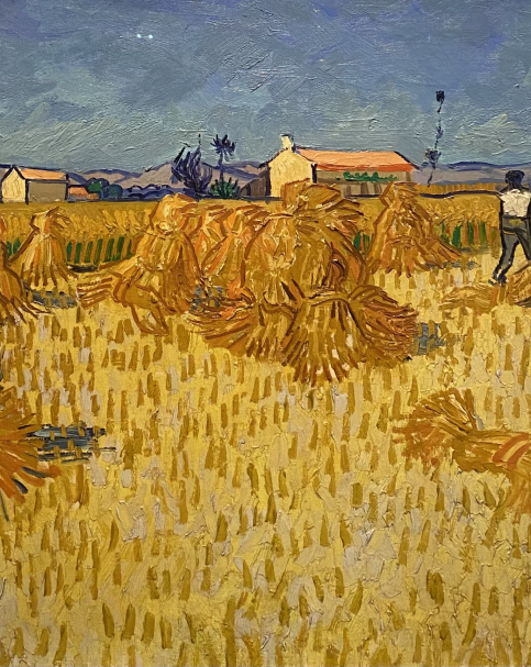 Vincent van Gogh 1853-1890 Corn Harvest in Provence June 1888