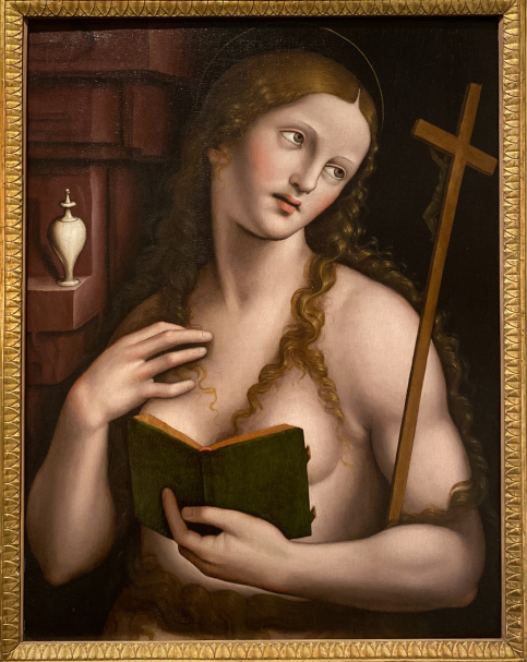 Giampietrino (Giovan Pietro Rizzoli) Magdalene deep in meditation. 1515-1530. Accademia Carrara. Bergamo