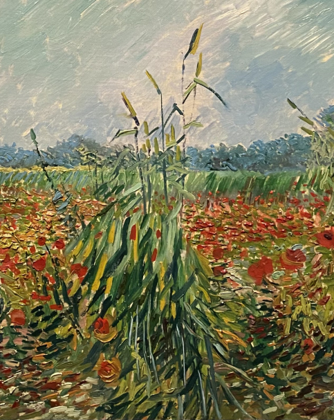 Vincent van Gogh 1853-1890. Confields and Poppies. 1888.  Oil on canvas. The Israel Museum Jerusalem Photo Dan Daniel