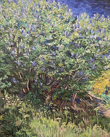 Vincent Van Gogh 1853-1890 Bush May 1889
